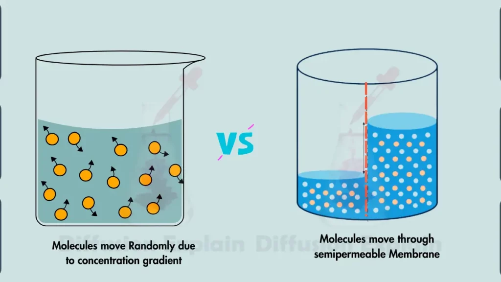 image showing difference between Diffusion and Osmosis