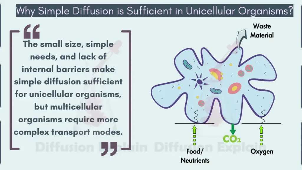 image showing Why Simple Diffusion is Sufficient in Unicellular Organisms