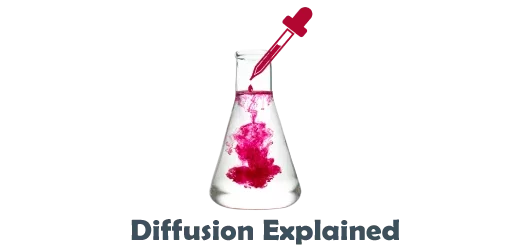 diffusionexplained