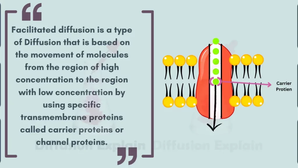 image showing what is Facilitated Diffusion